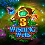 3 Wishing Wells